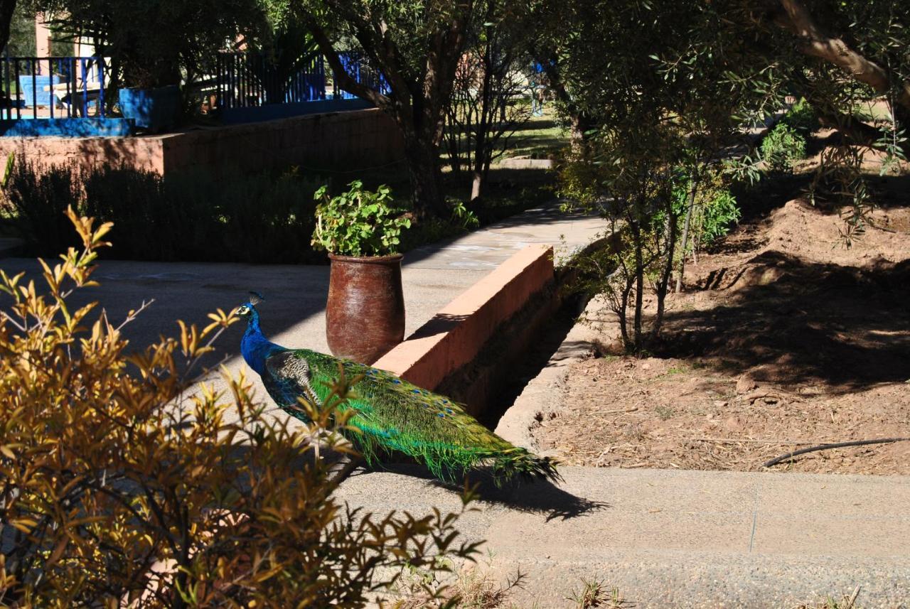 Guest House Qodwa Marrakesch Exterior foto